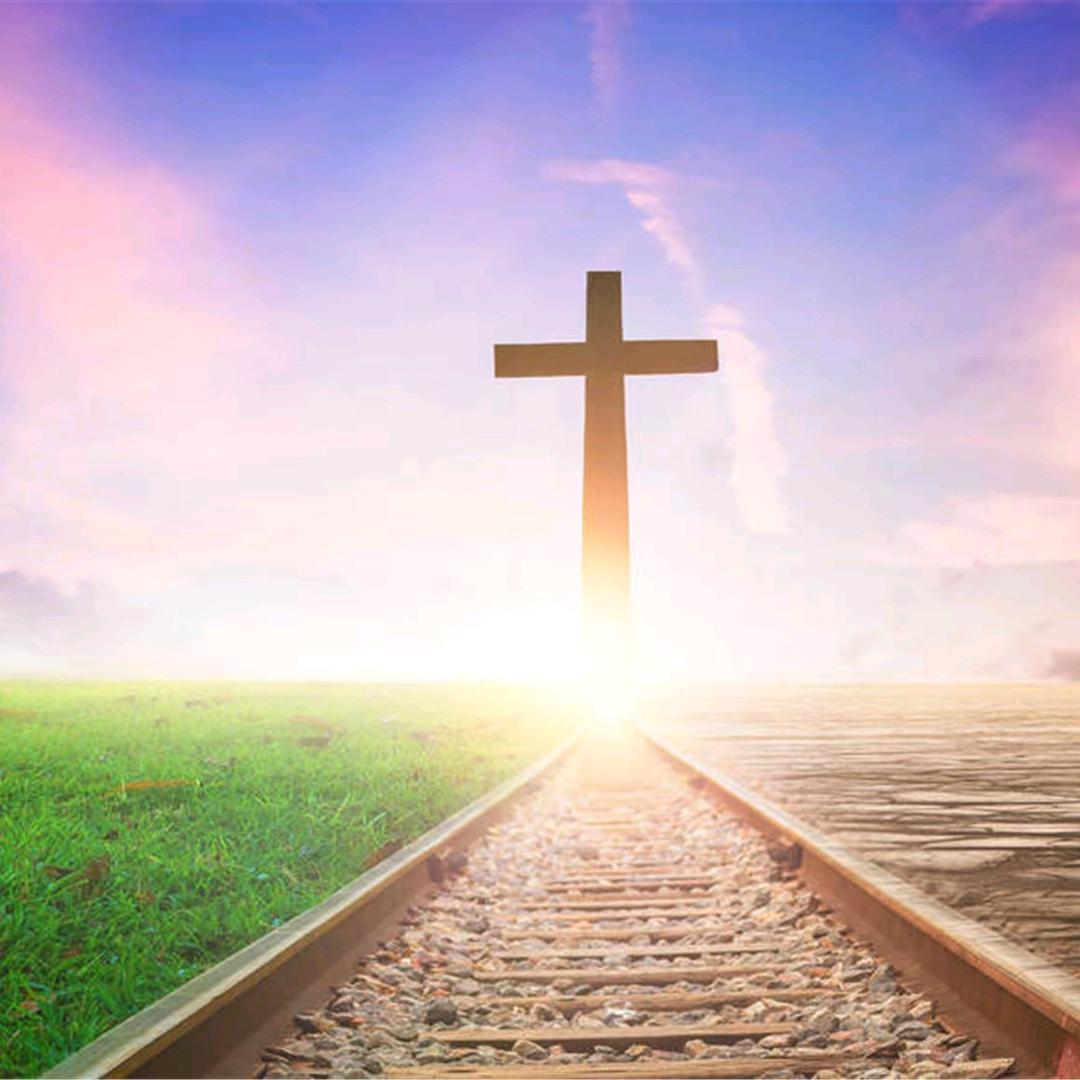 💞神谕圣光💞࿐