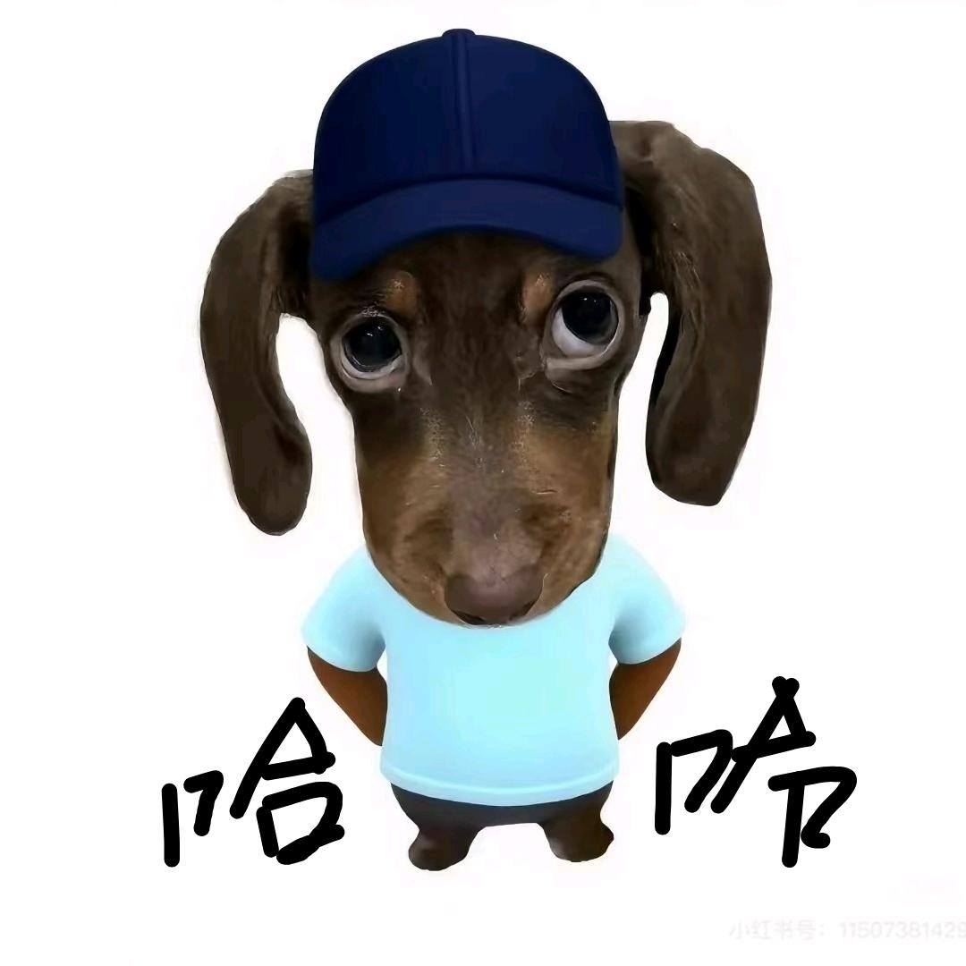 泪海