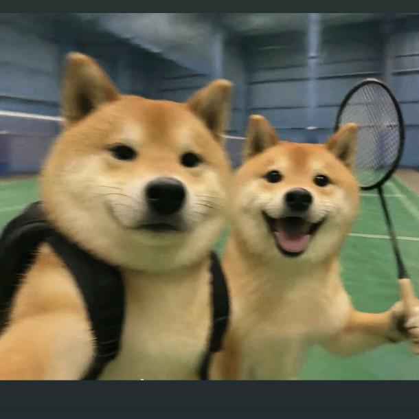 乌萨奇