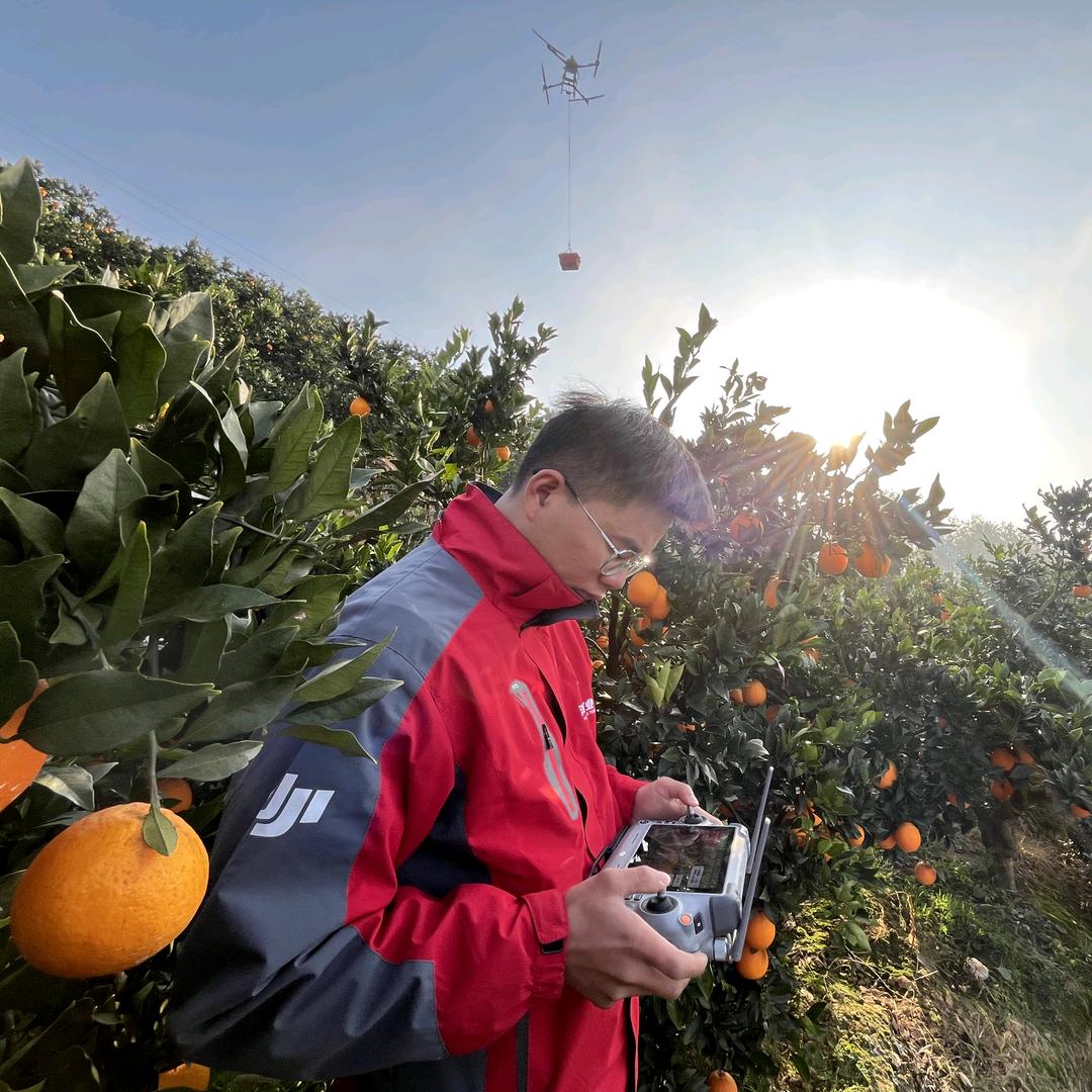 嗯哼果园🍊🍊
