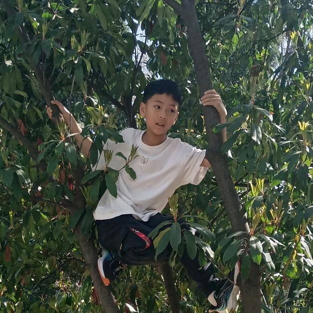 美好的生活……🌻🌻🌻