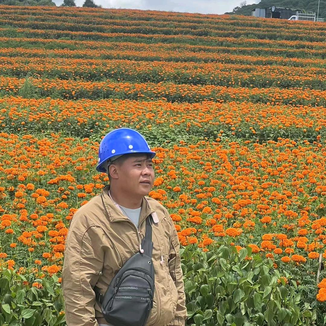云南四哥