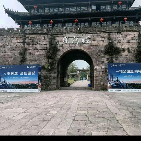 春雪保证不给你捣乱