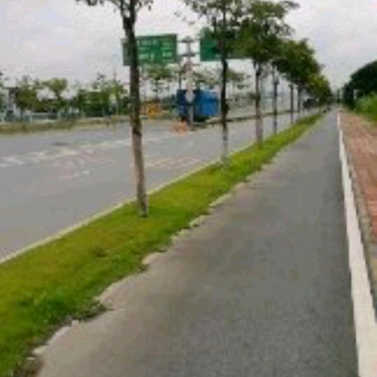 廣卅🍵店長小青甘