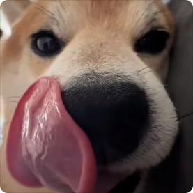 Y.
