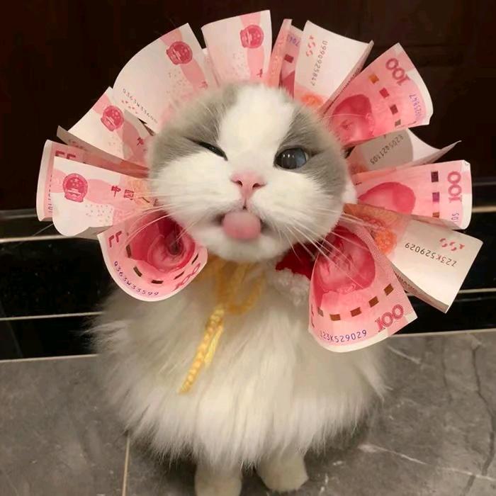不想洗头