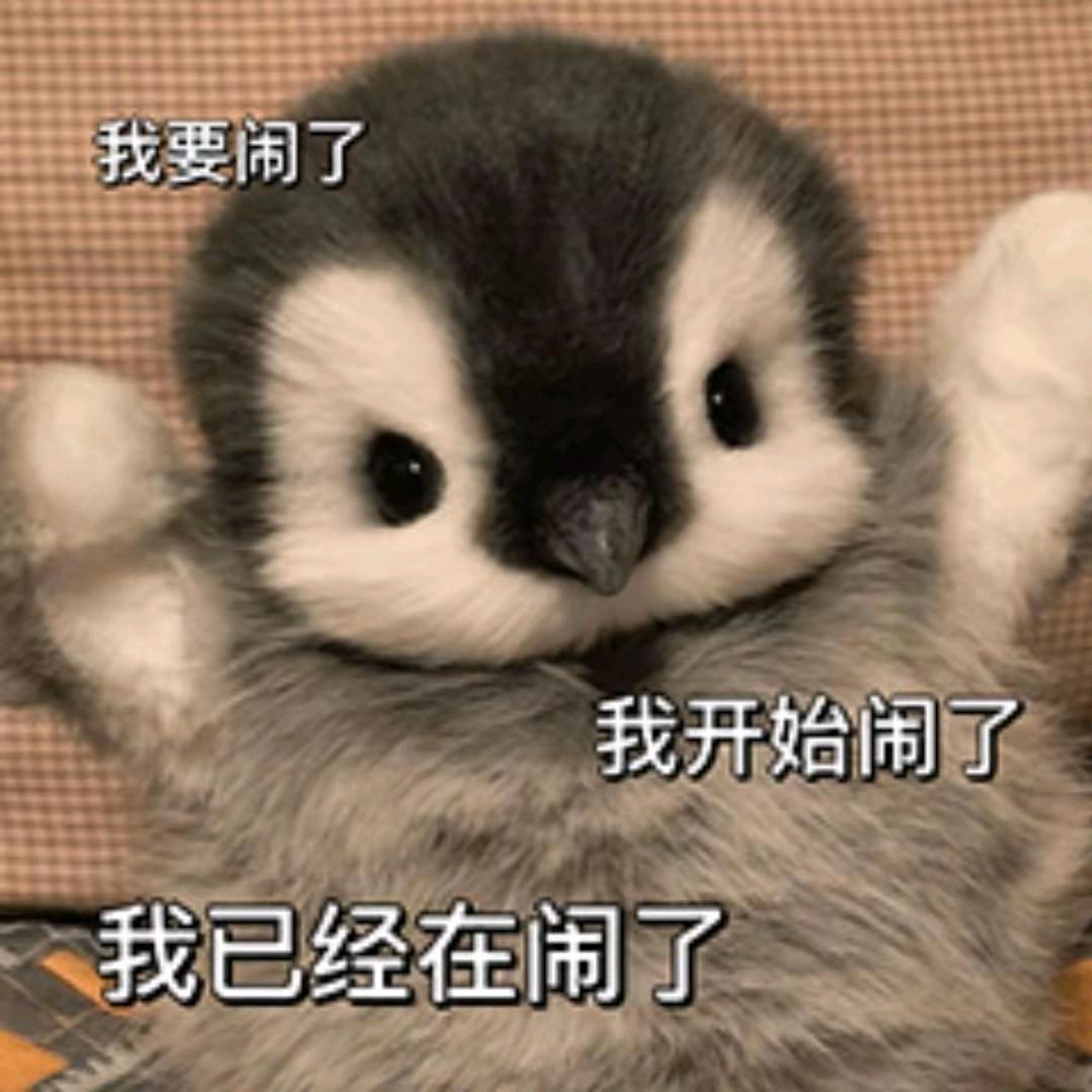 胖胖