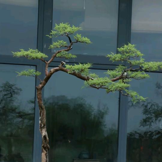 马尔代夫