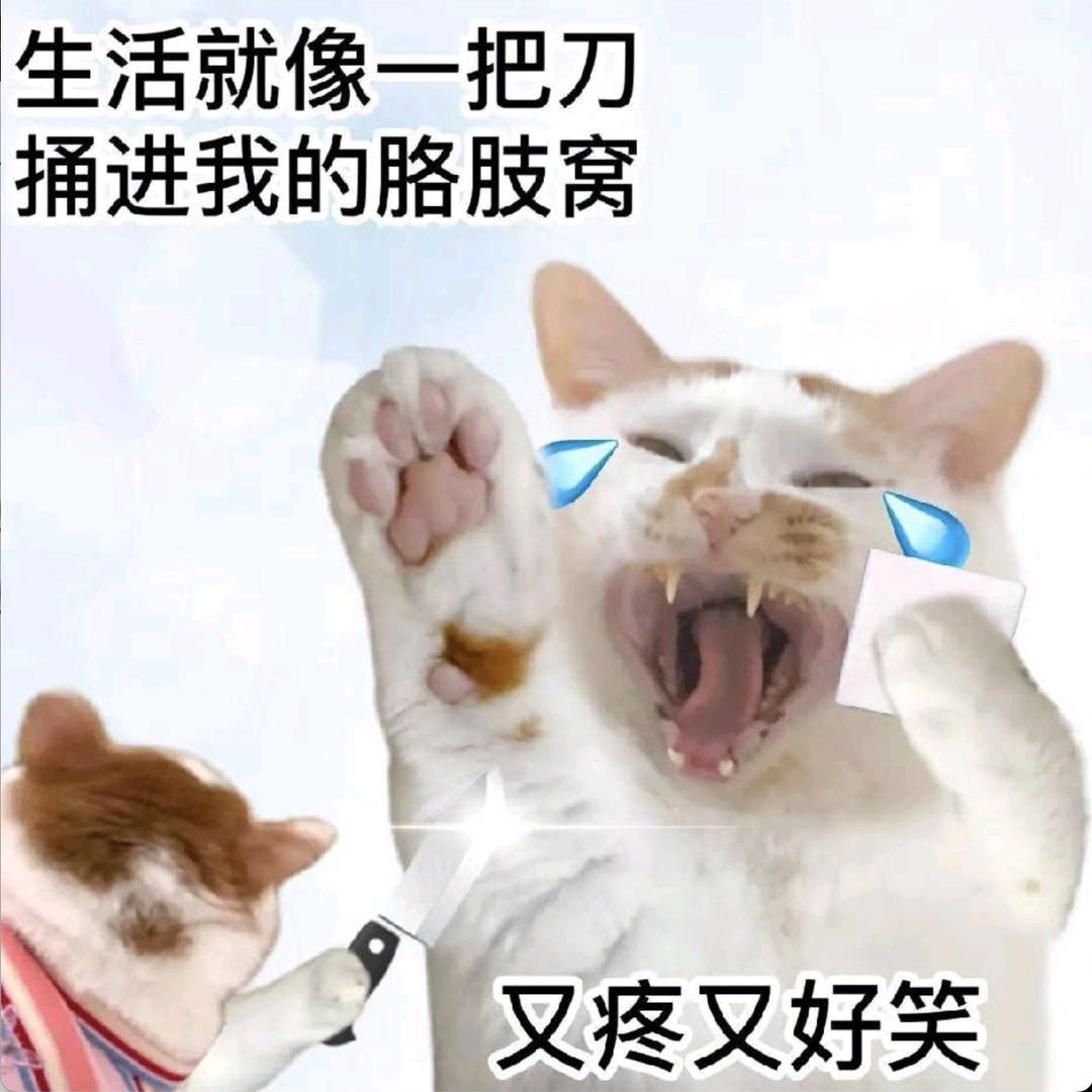 江西星禾保洁服务