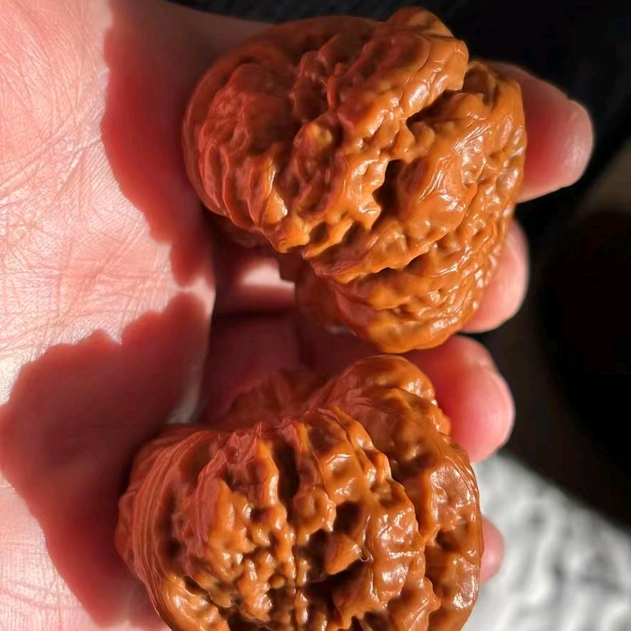 凤姐玩核桃