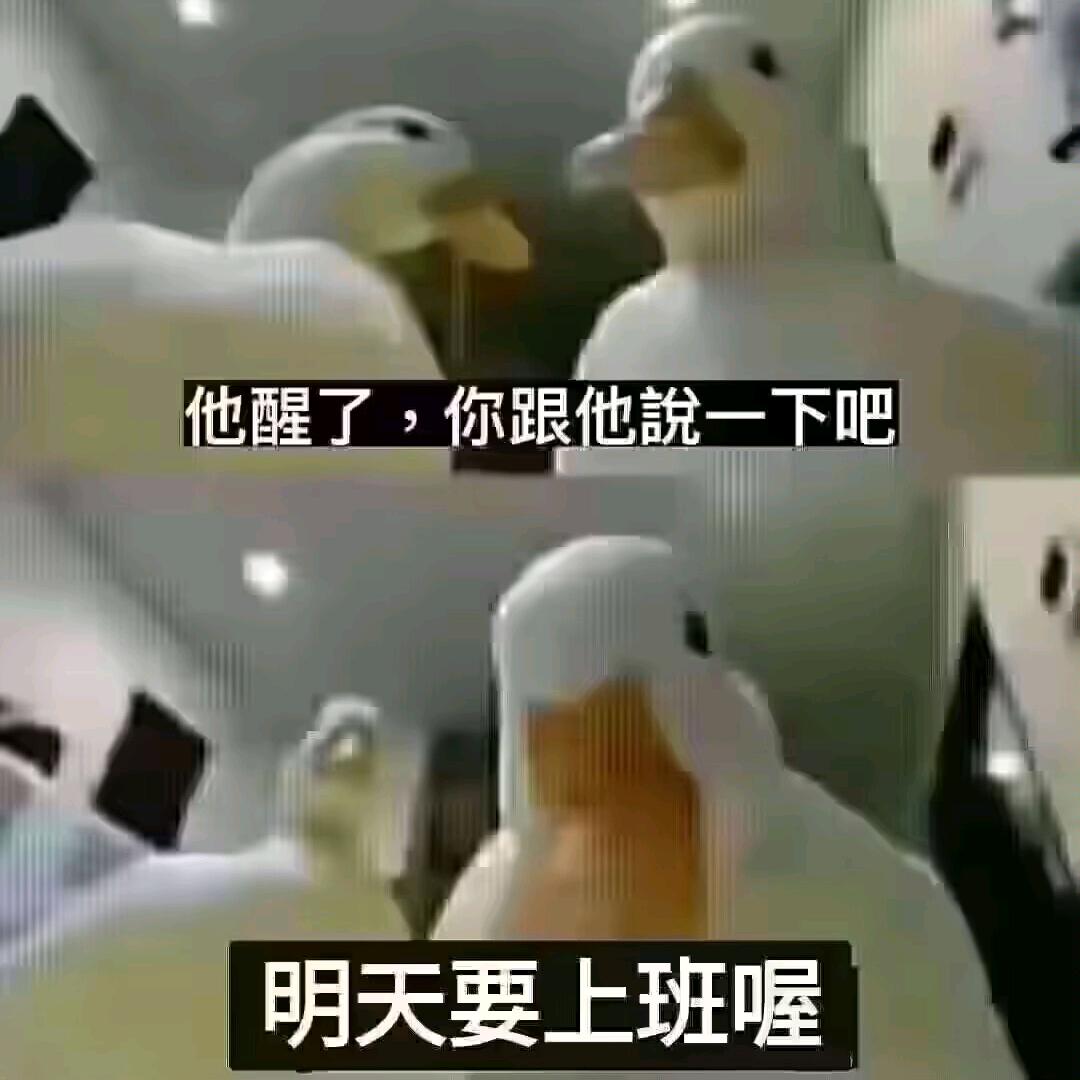 清空世界の独奏