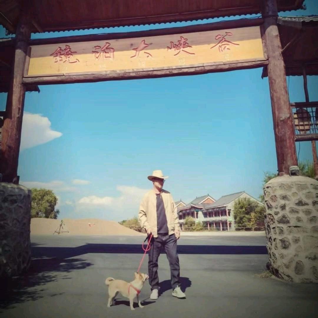 梦回重游