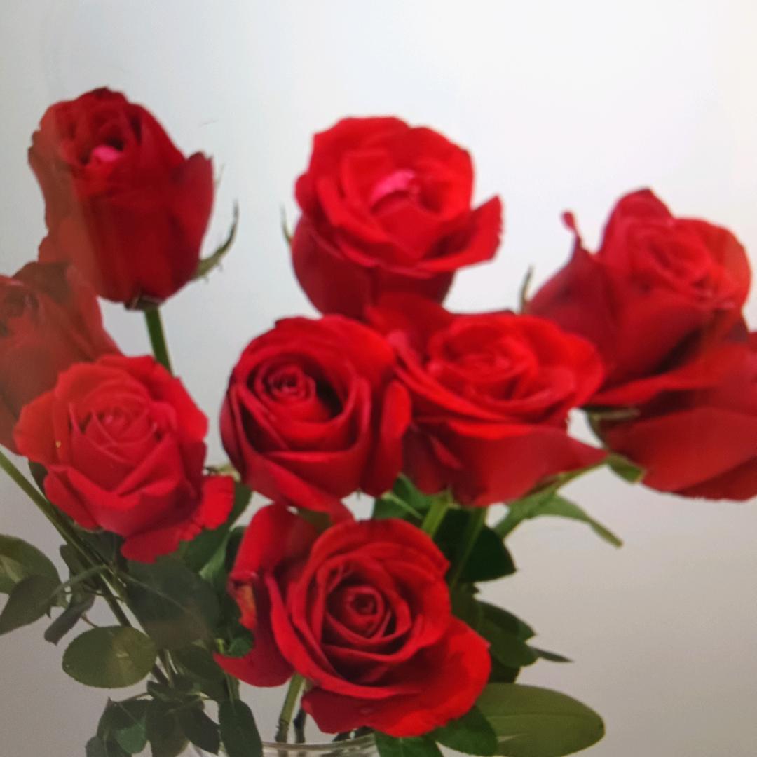 ※你扶我起来↔我还能喝※