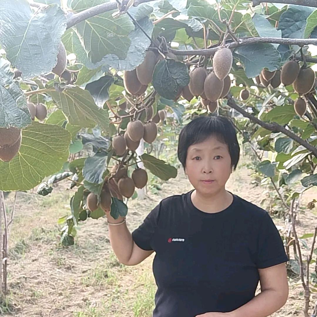 自力更生样姐（二姐夫）