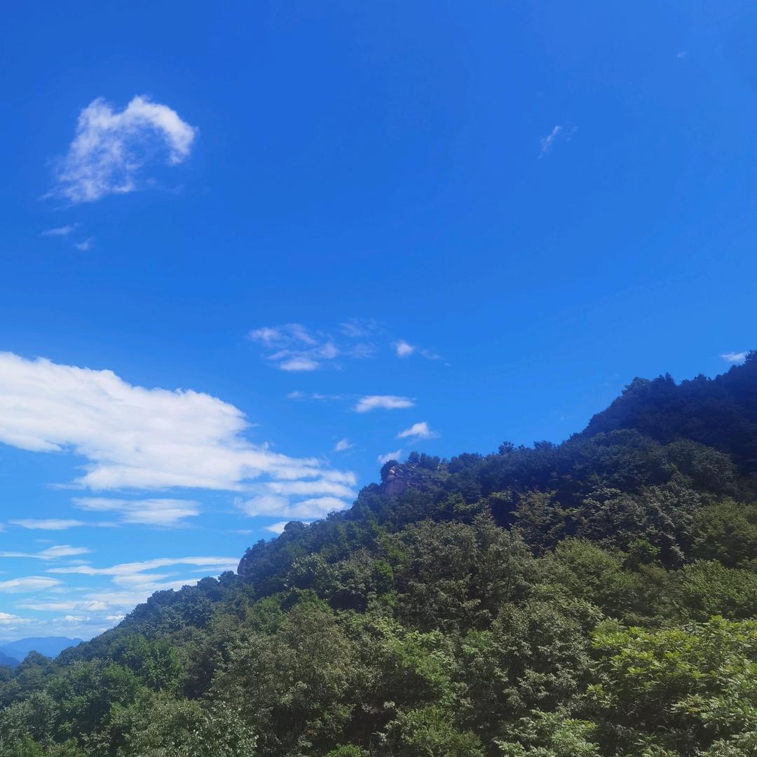清风