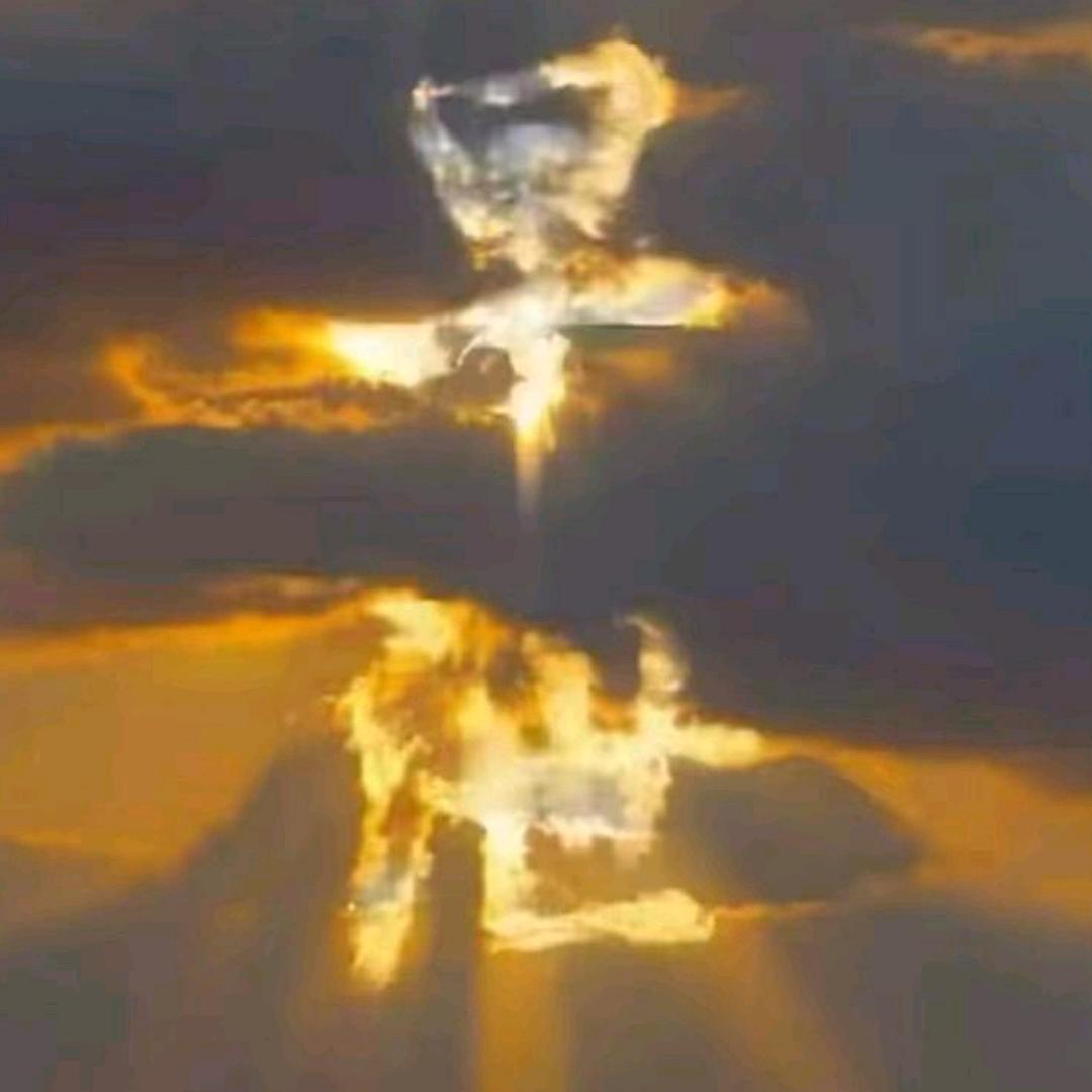 男人救世主。。
