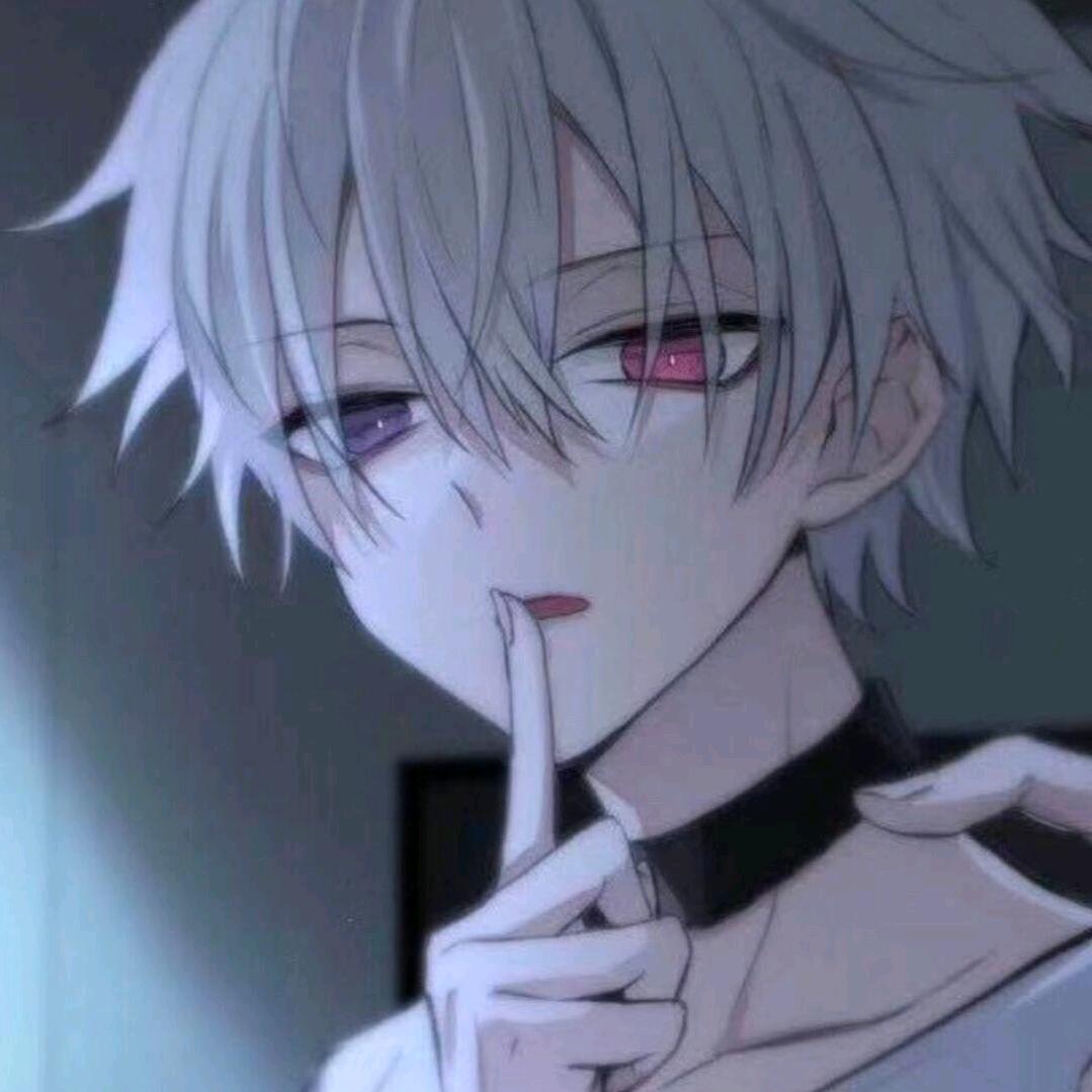 疆小白