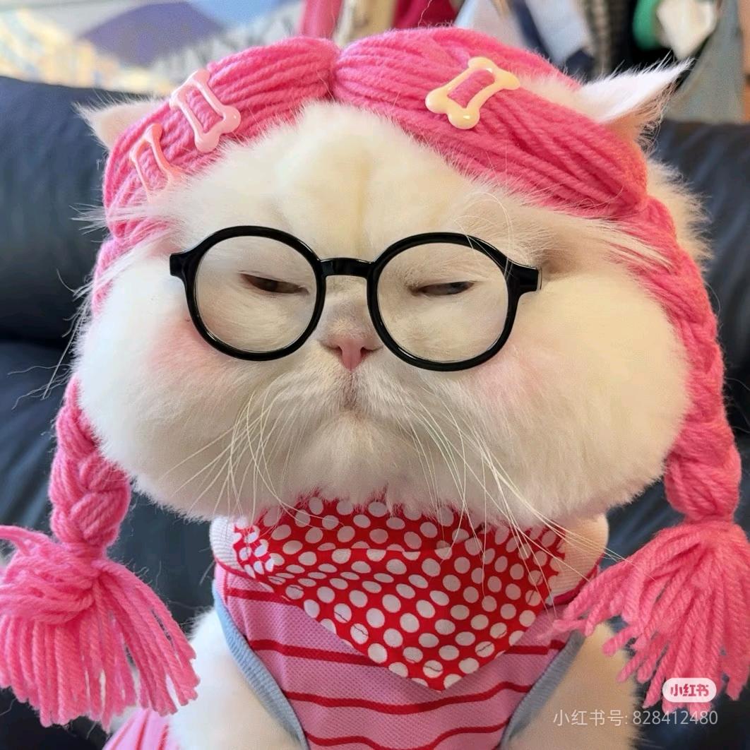 自来卷女士