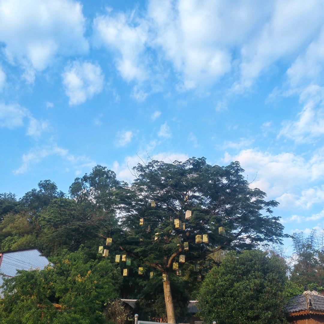 威远万达慕叁山蛋糕小英