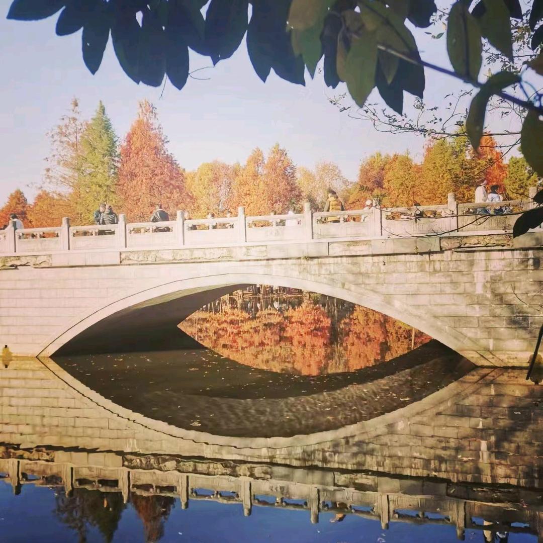 用户映山红