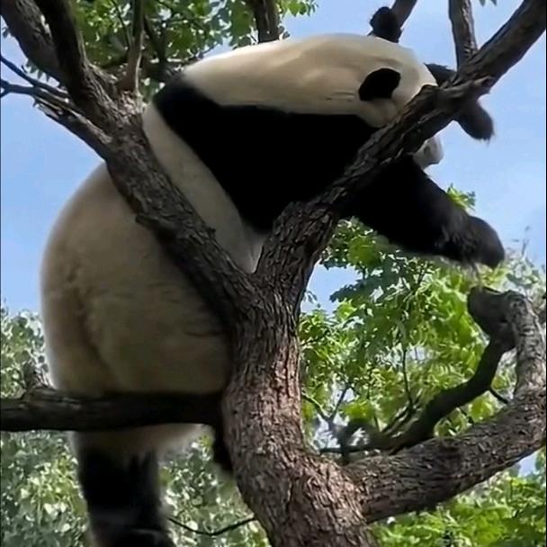 悠闲自在