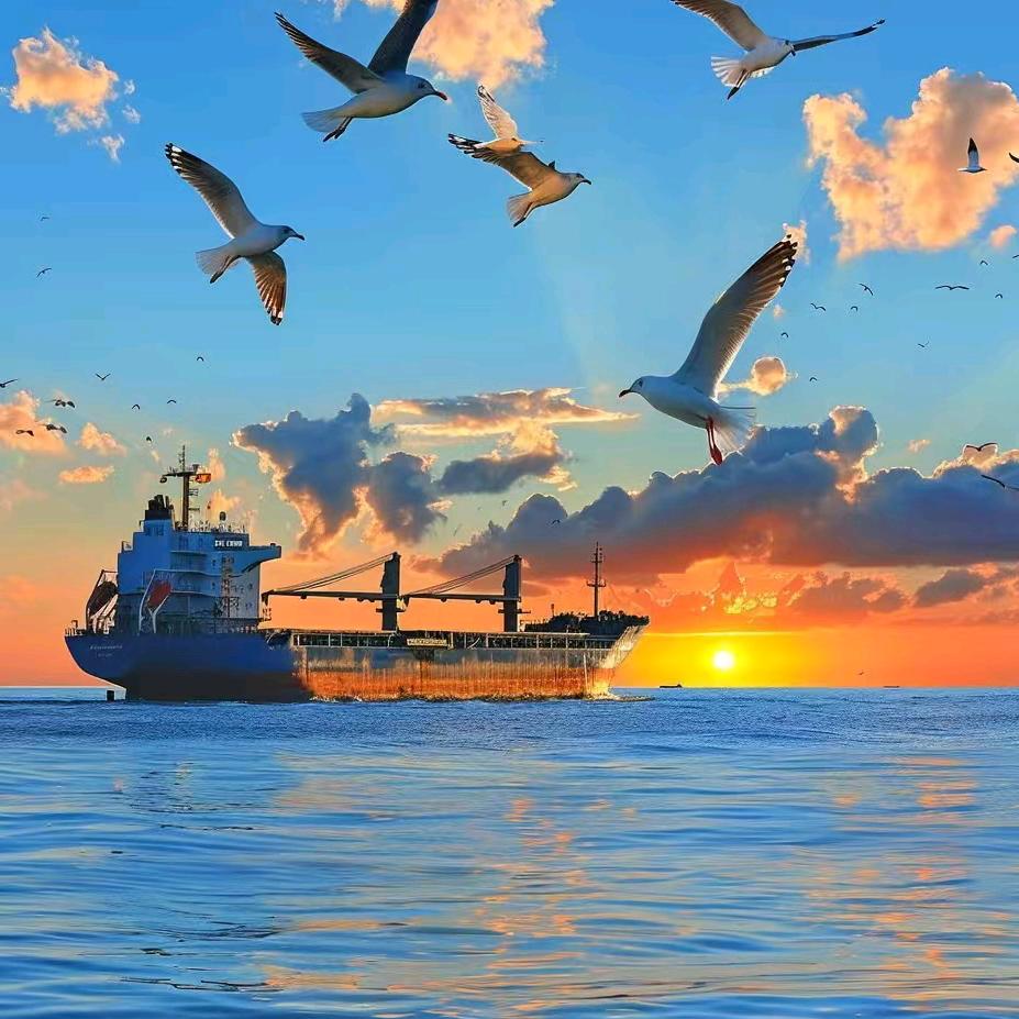 魏船長启航船拍