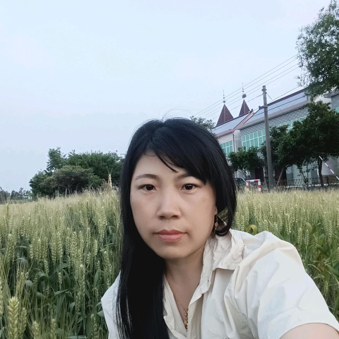 云南燕燕