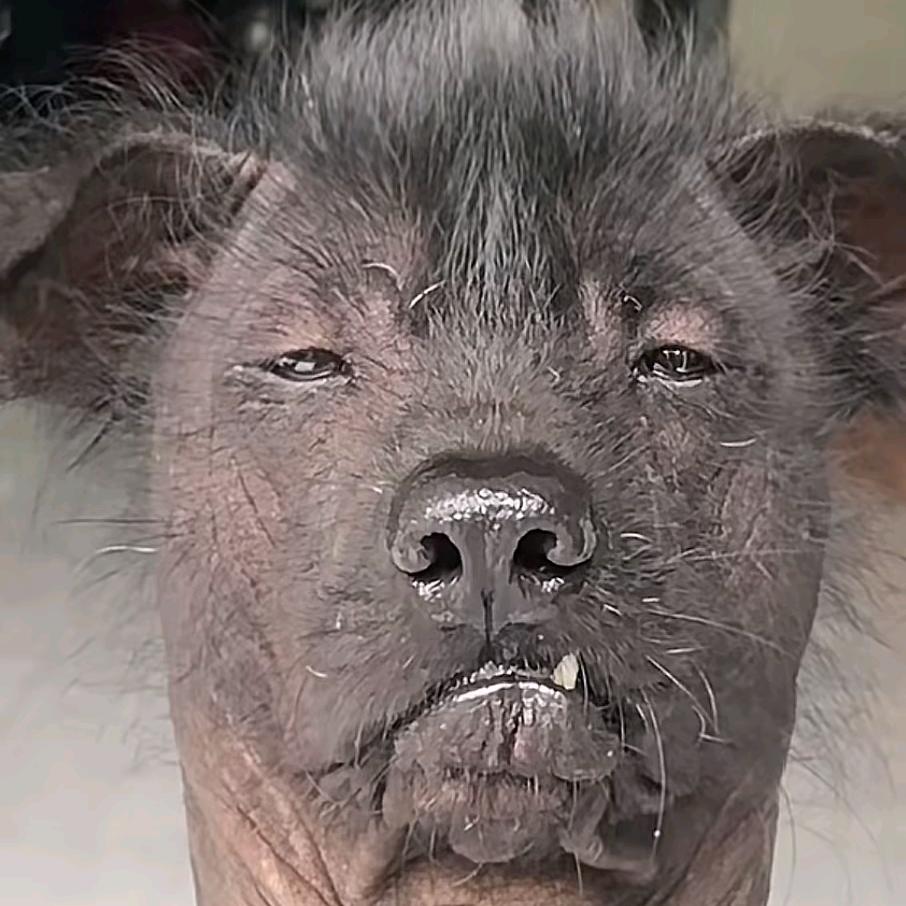 👀看着不像好人