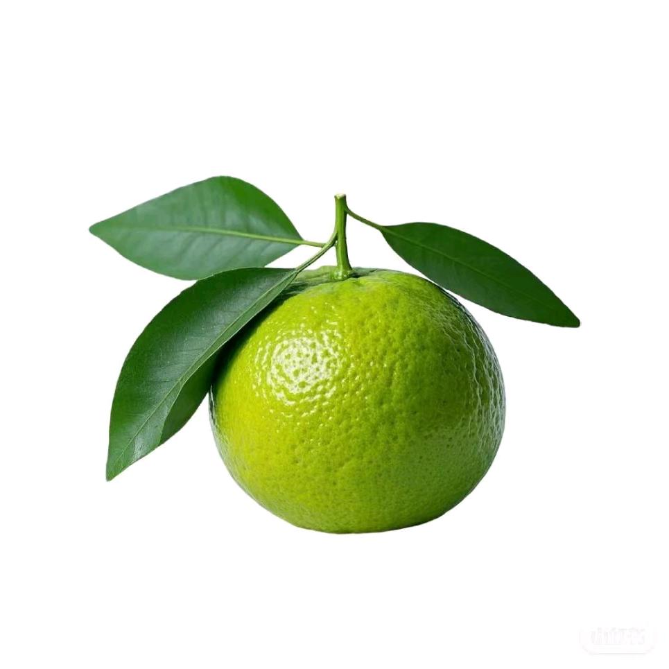 168优选好物