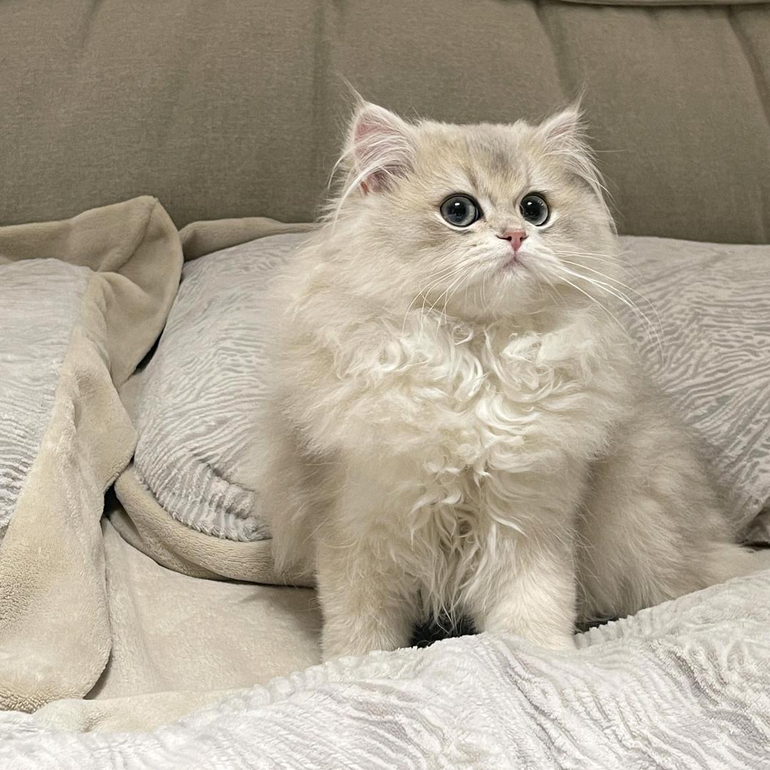 迪迪～