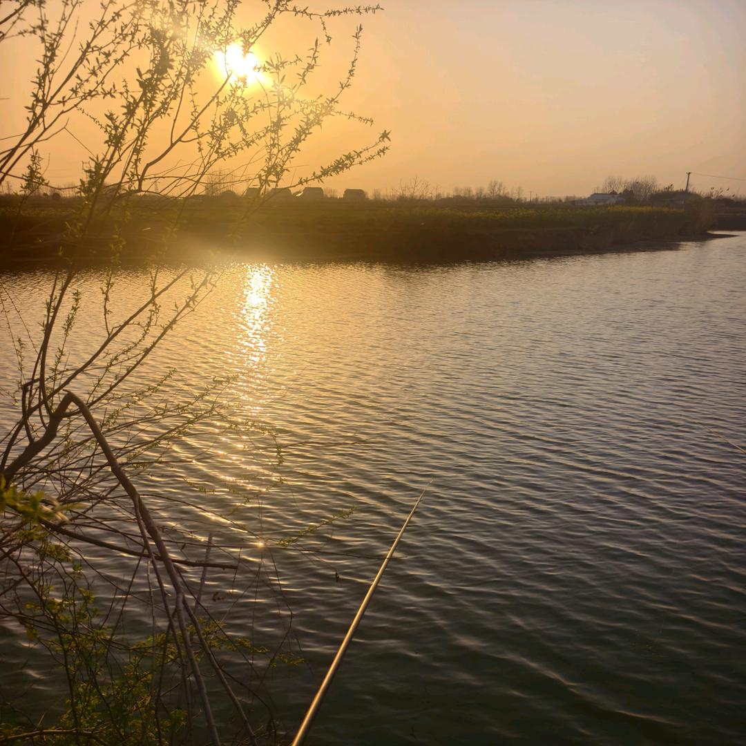 加佳酱油（专业净化实验室设计施工）