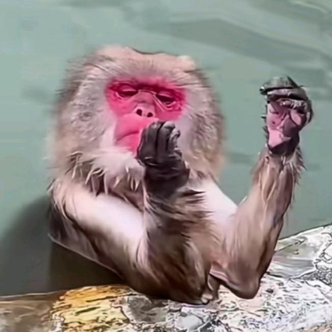 一纸荒年