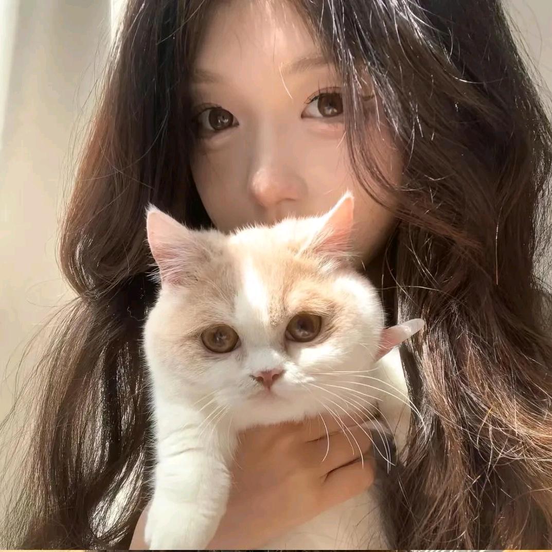 Cc-不吃米