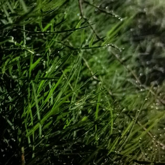 磨来磨去
