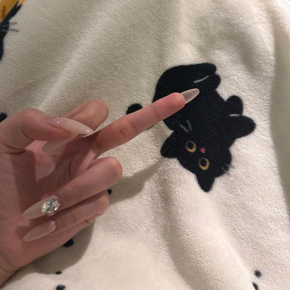 招财进宝的小猫