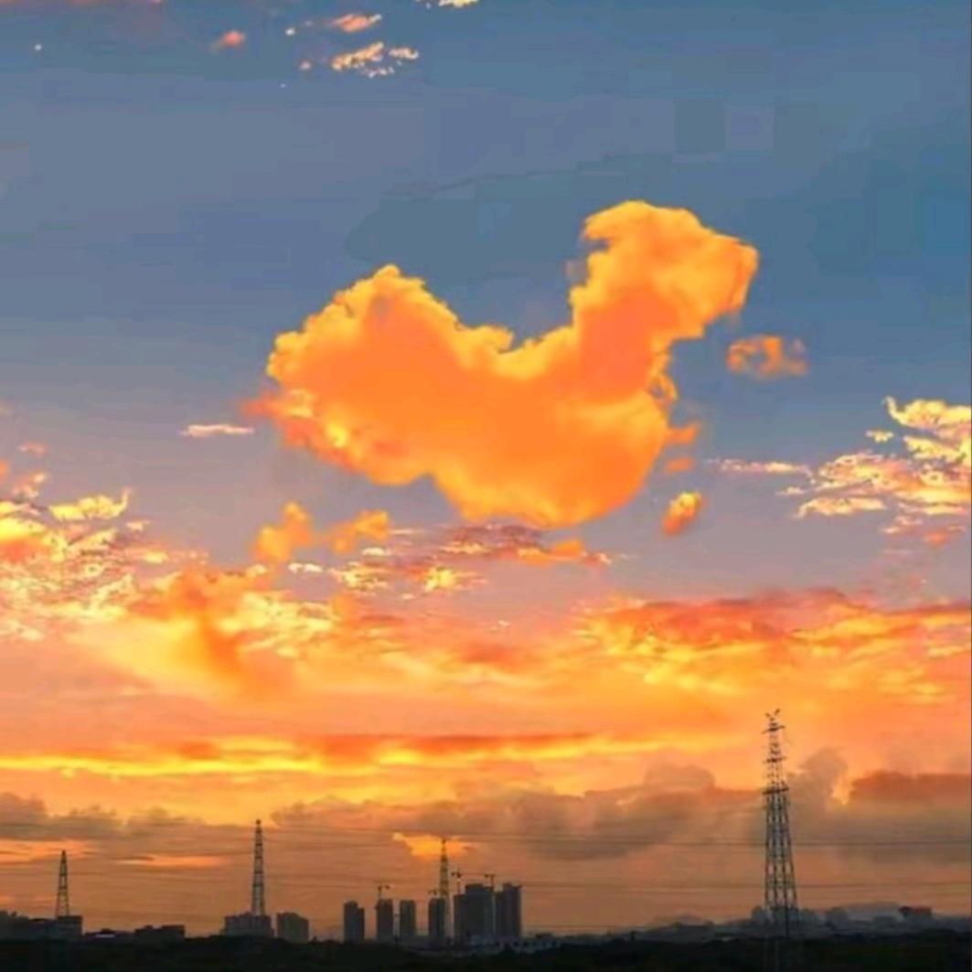 中华情