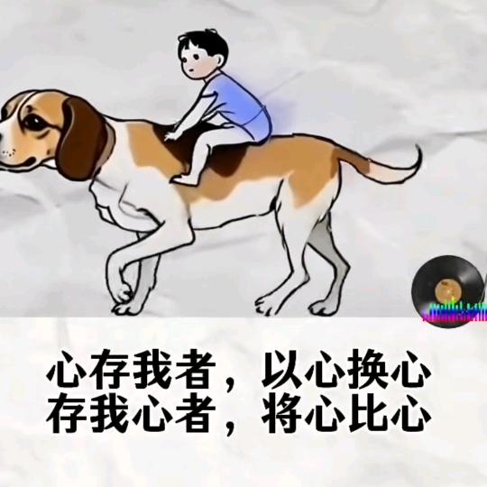 风雨人生
