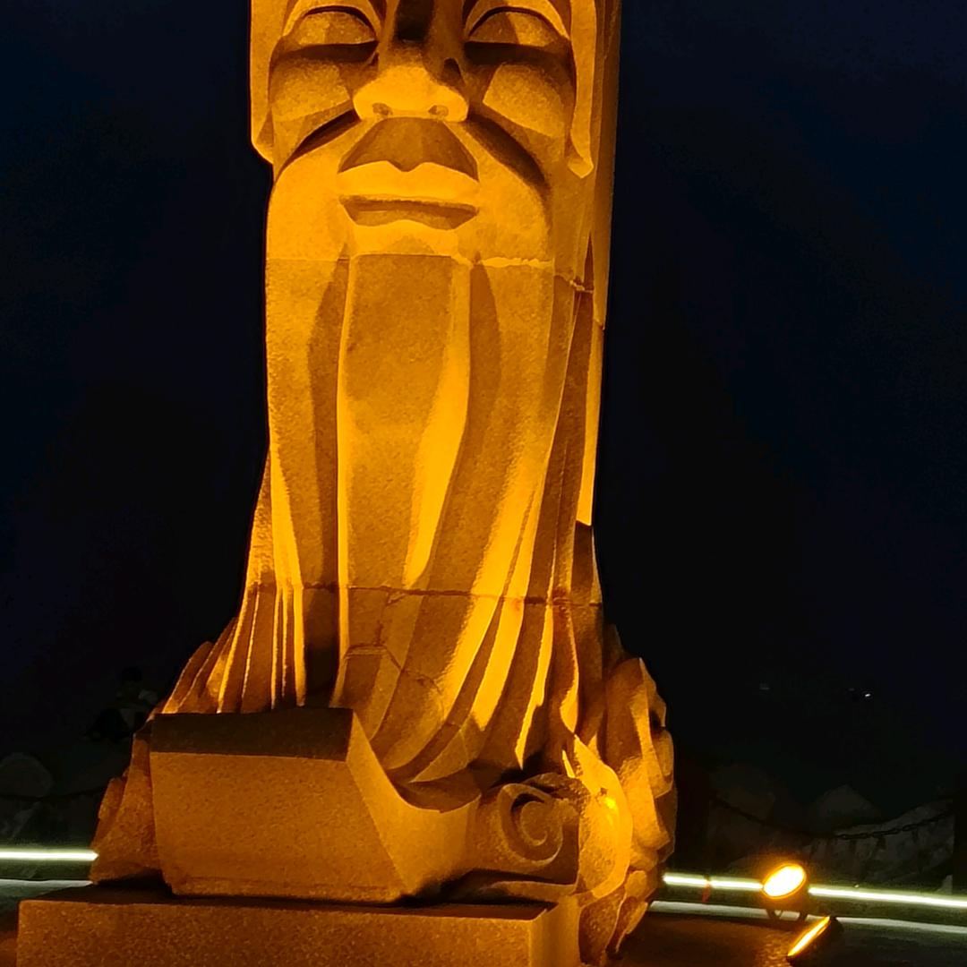 自由飞翔