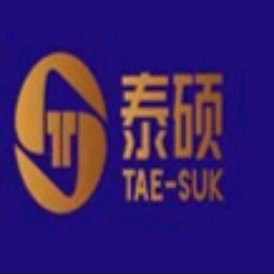 泰硕财税