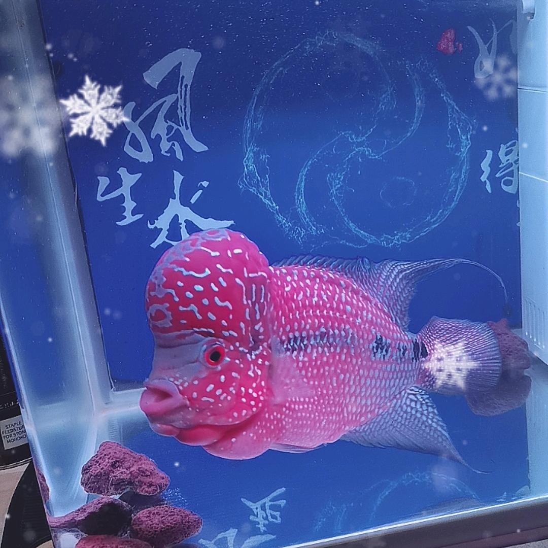 小心心！