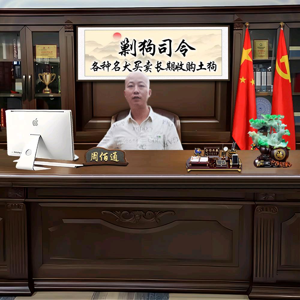 潼南区佰通犬狗场