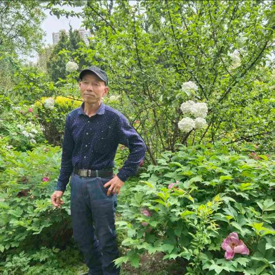 好人（不定时直播）