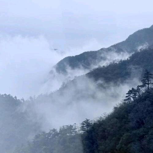 大山里的。小阿哥。
