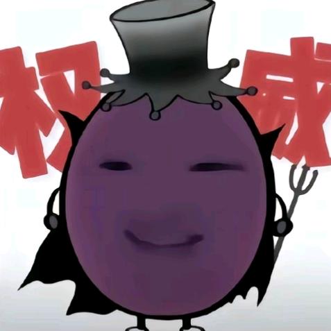 鱼饼😙(芒果干)