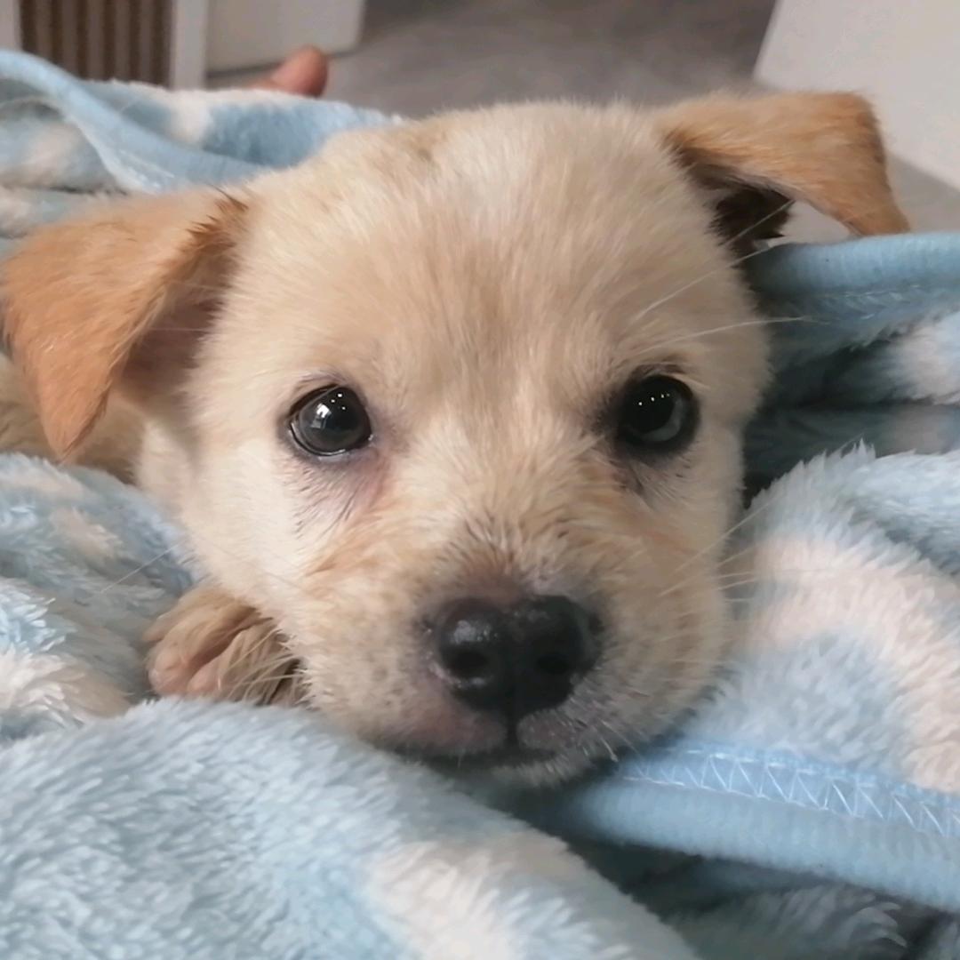 ಇ᭄🍭給顆糖就會笑💨⁶⁶