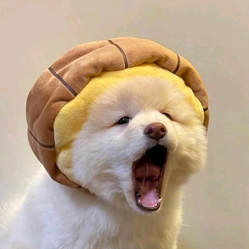 静悄悄.