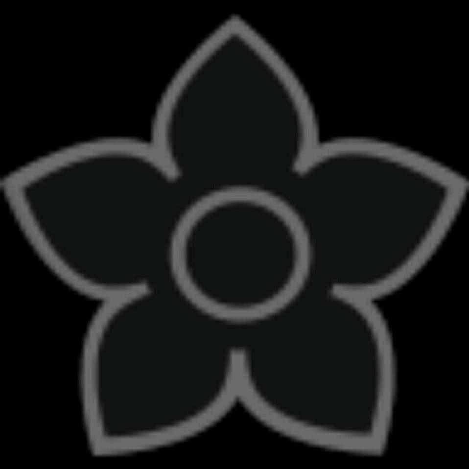 东东电竞考官仁哲（三角洲行动）