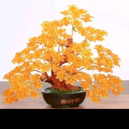 司小建