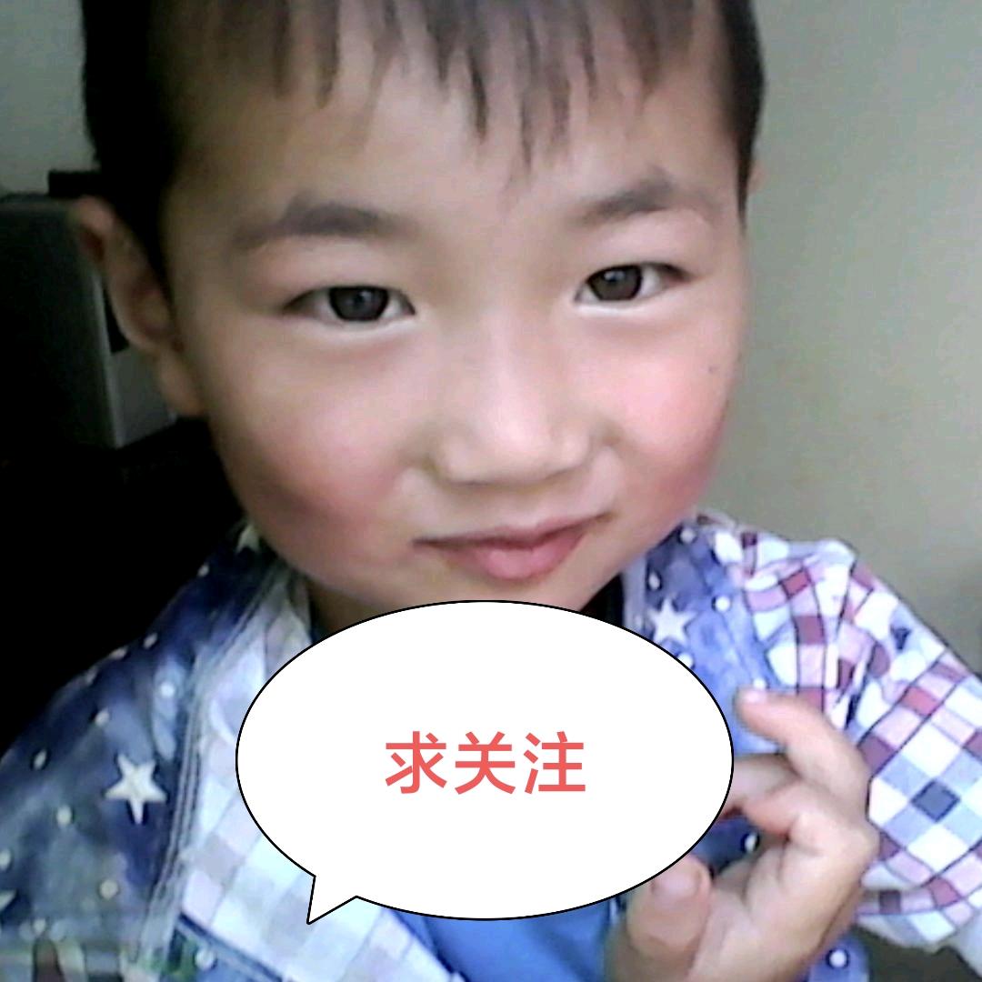 小小灰