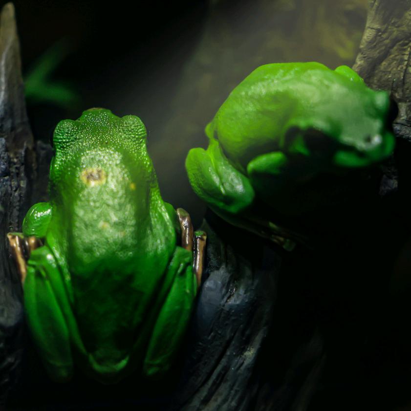 长矛沾屎、戳谁谁死